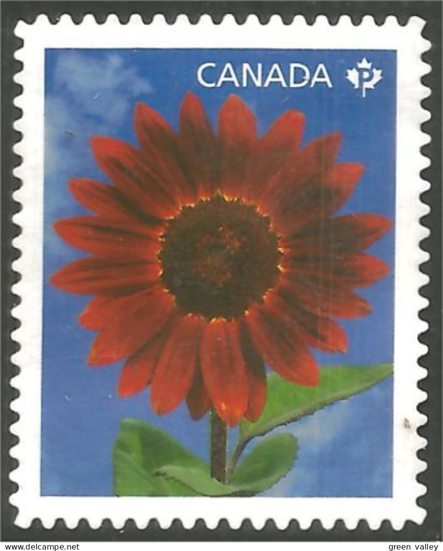 Canada Fleur Flower Mint No Gum (172) - Autres & Non Classés