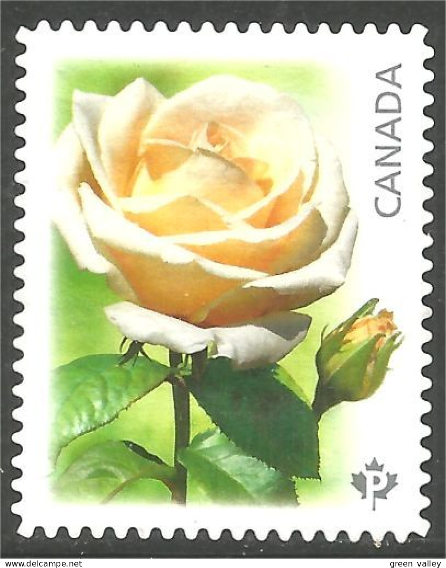 Canada Fleur Flower Rose Mint No Gum (164) - Gebraucht