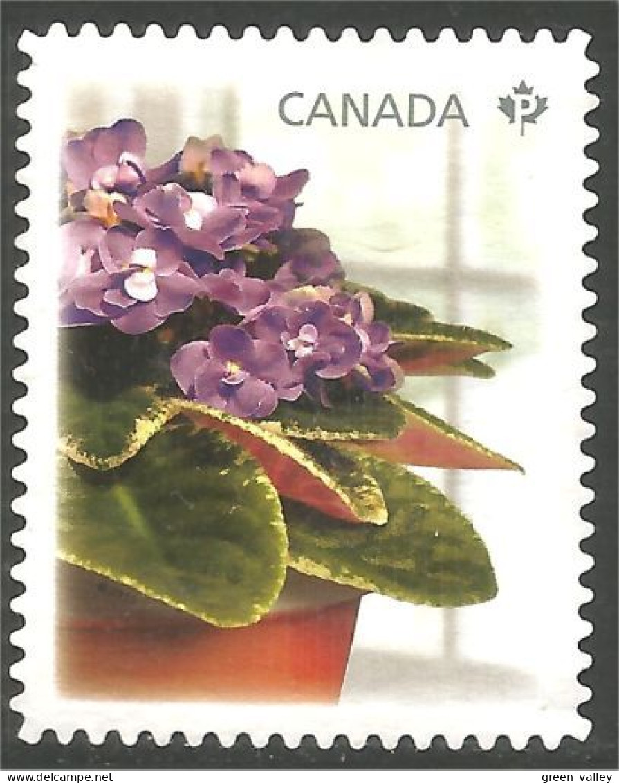 Canada Fleur Flower Mint No Gum (163) - Used Stamps