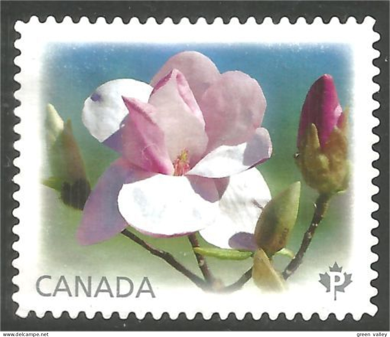 Canada Fleur Flower Rose Mint No Gum (156) - Gebruikt