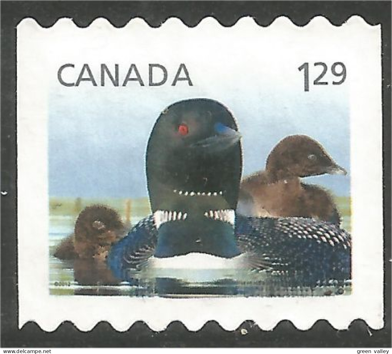 Canada Canard Duck Ente Pato Mint No Gum (119) - Used Stamps