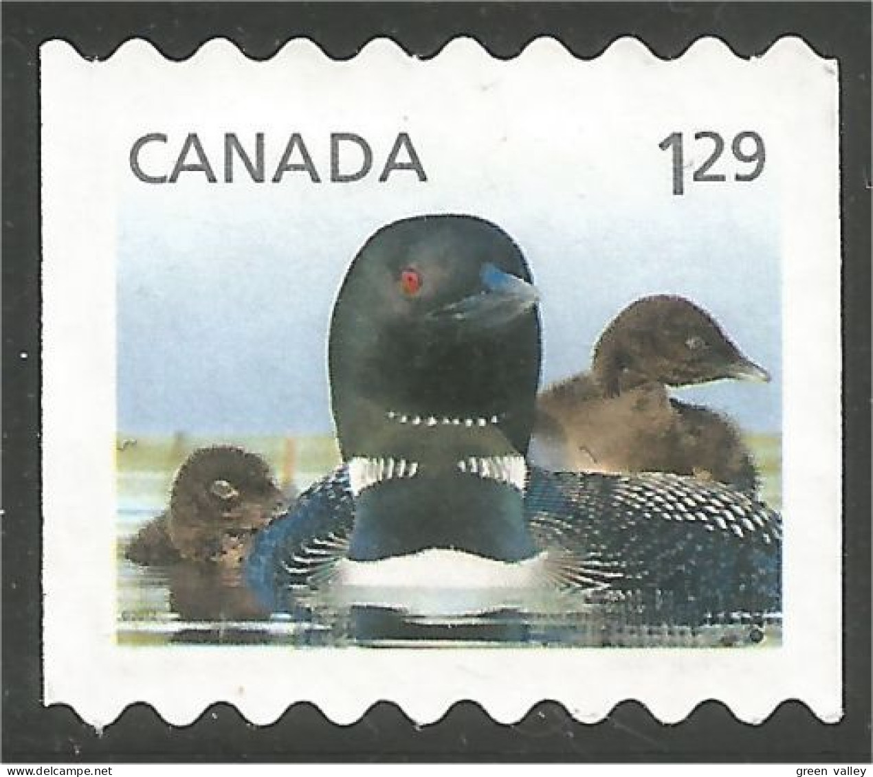 Canada Canard Duck Ente Pato Mint No Gum (121) - Andere & Zonder Classificatie