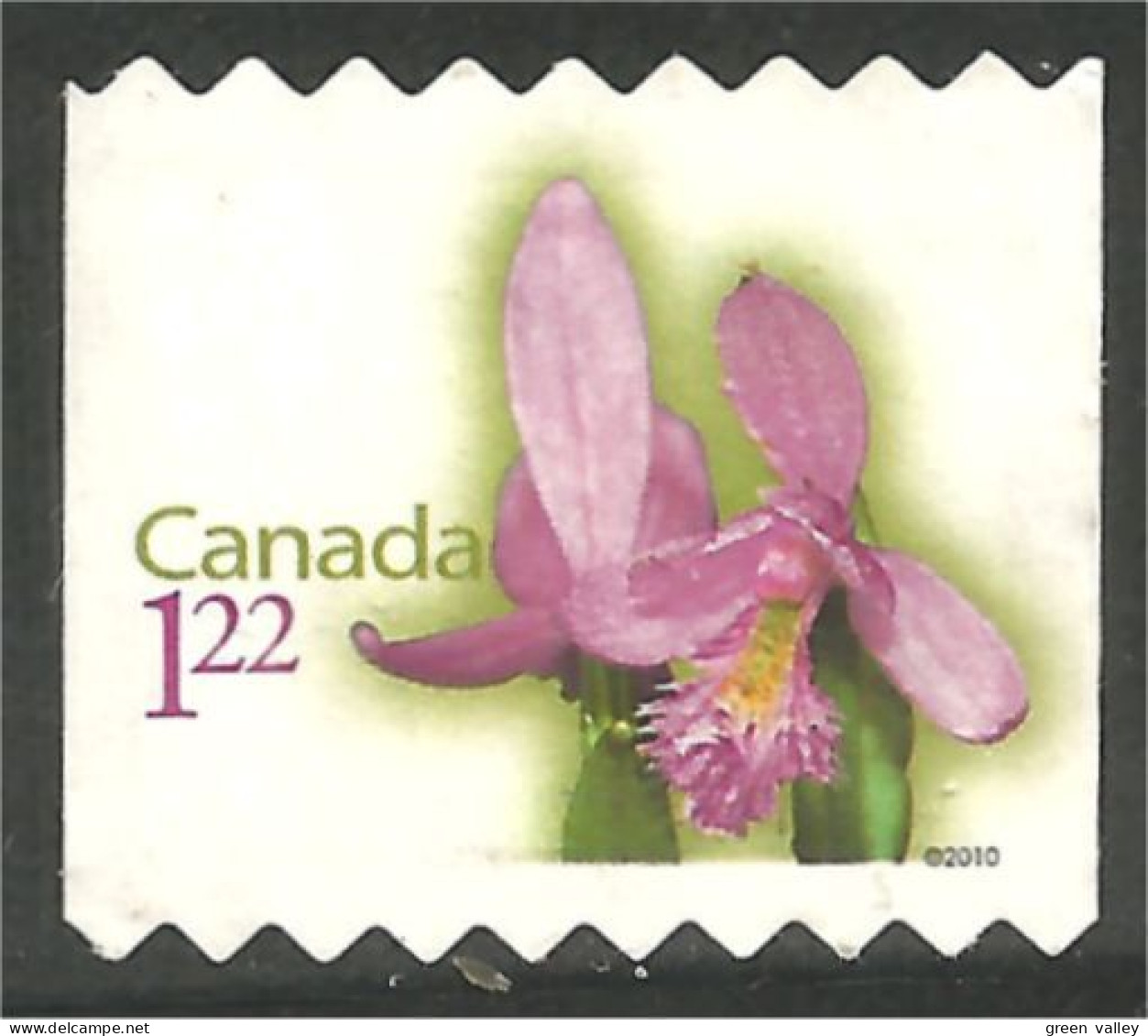 Canada Orchid Orchidée Mint No Gum (113) - Orchids
