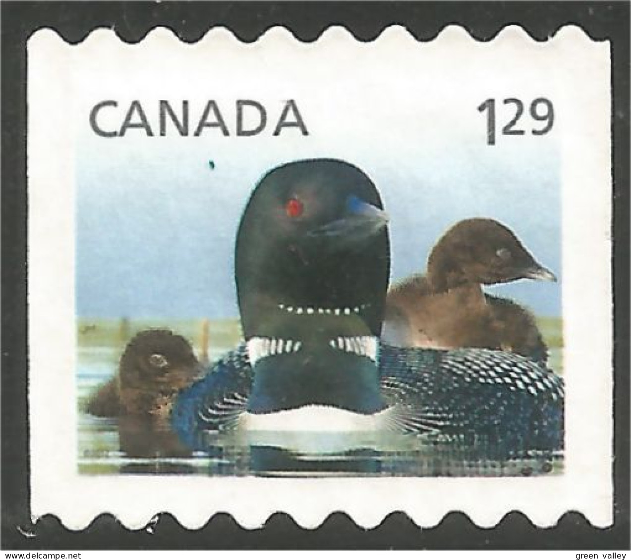 Canada Canard Duck Ente Pato Mint No Gum (120) - Eenden