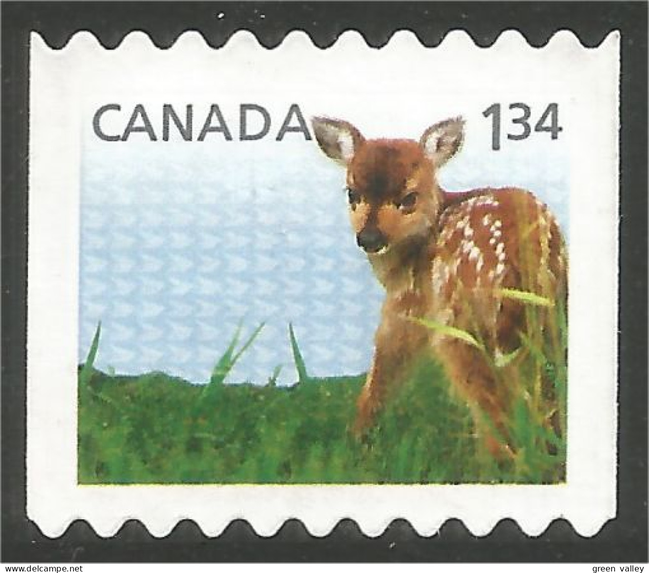 Canada Chevreuil Deer Daim Faon Fawn Mint No Gum (116) - Usados