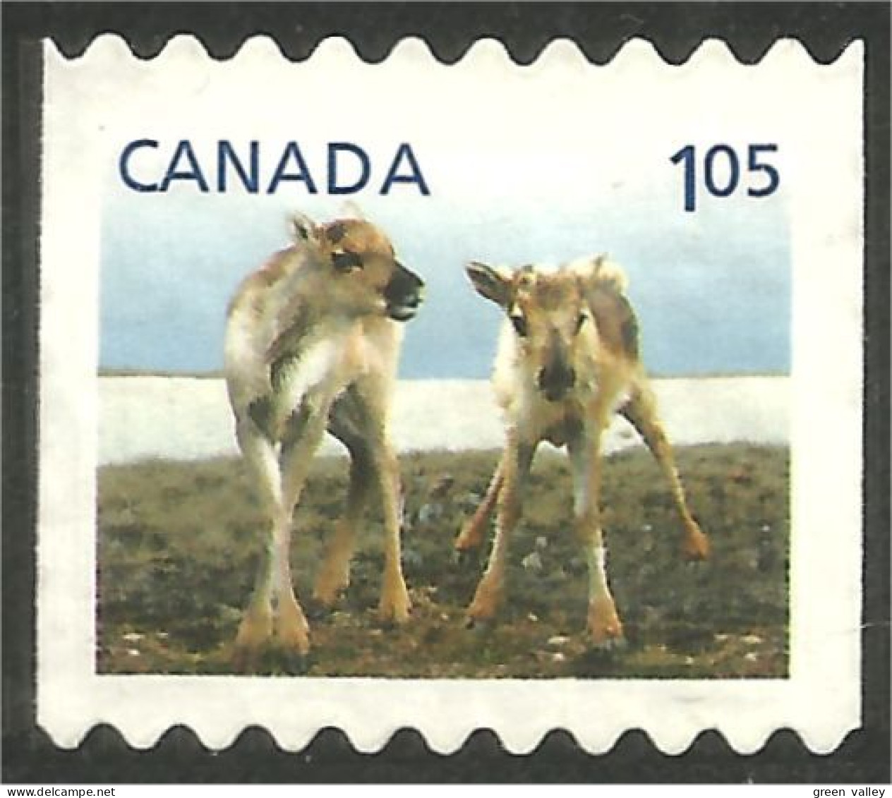 Canada Renne Reindeer Caribou Mint No Gum (93) - Oblitérés