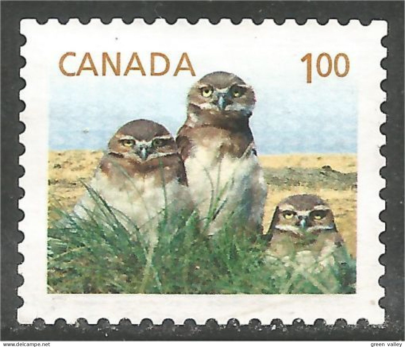 Canada Hibou Chouette Owl Eule Gufo Uil Buho Mint No Gum (78) - Otros & Sin Clasificación