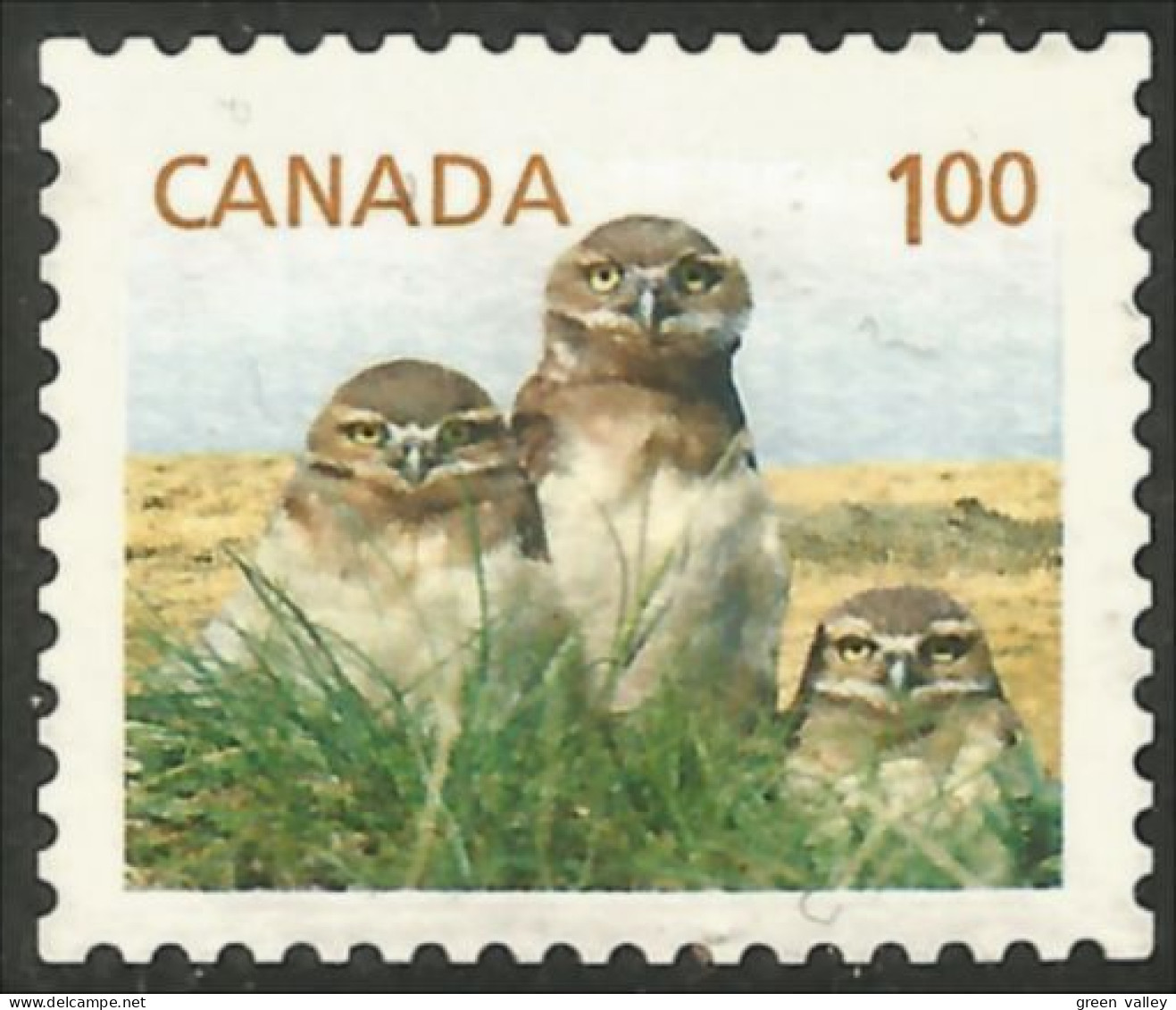 Canada Hibou Chouette Owl Eule Gufo Uil Buho Mint No Gum (85) - Sonstige & Ohne Zuordnung