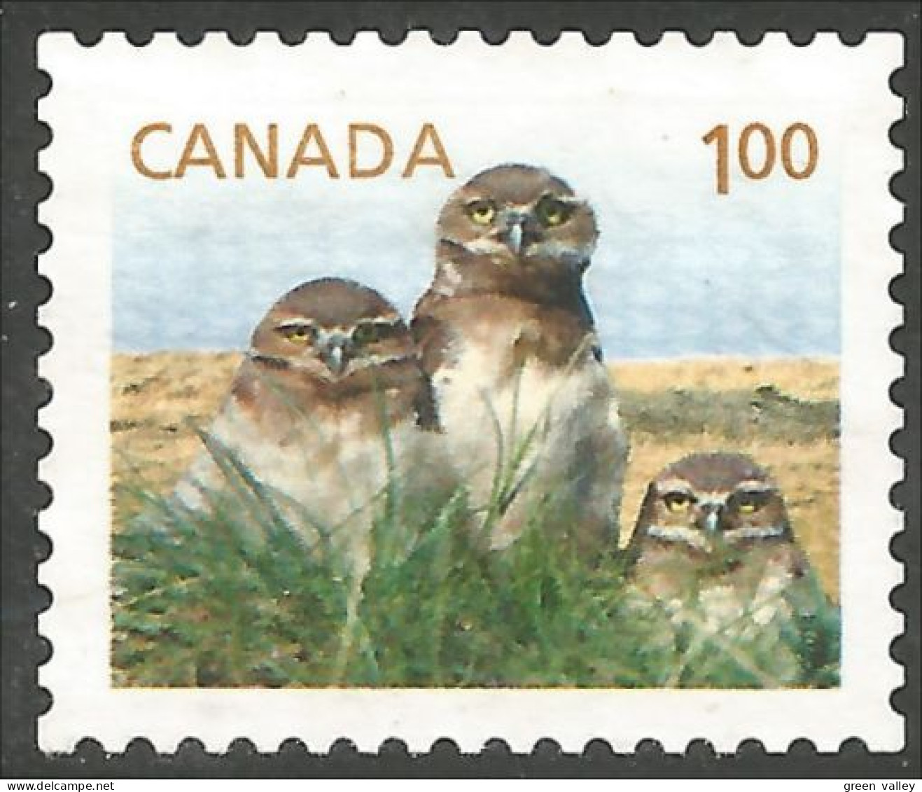 Canada Hibou Chouette Owl Eule Gufo Uil Buho Mint No Gum (79) - Otros & Sin Clasificación