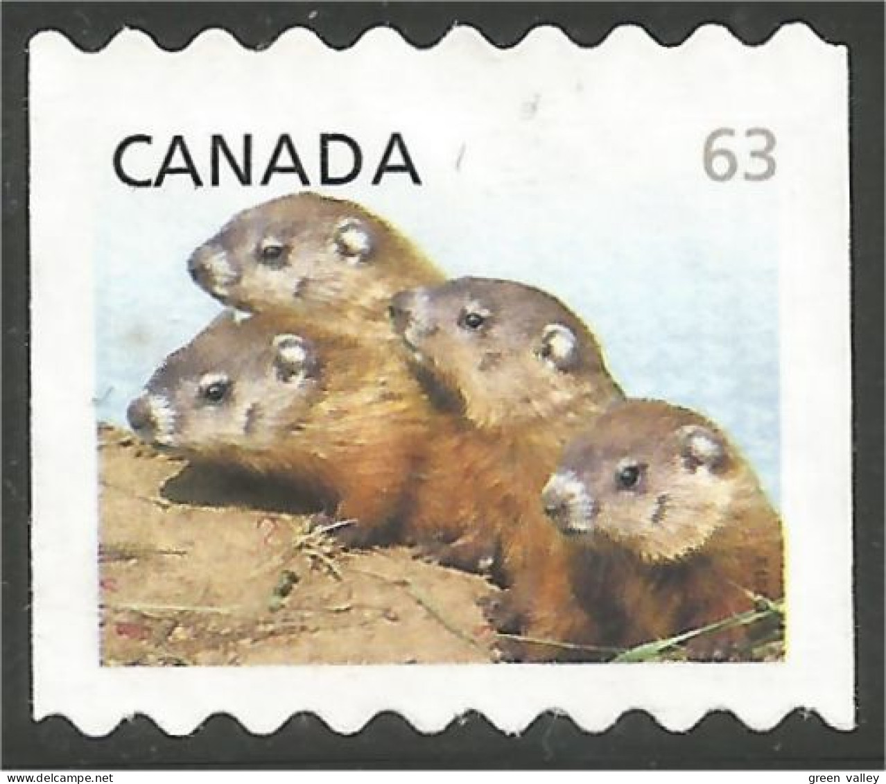 Canada Chiens Prairie Dogs Mint No Gum (72) - Used Stamps