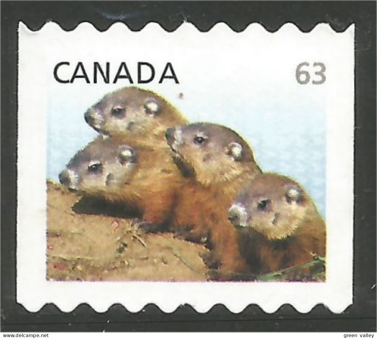 Canada Chiens Prairie Dogs Mint No Gum (71) - Gebruikt