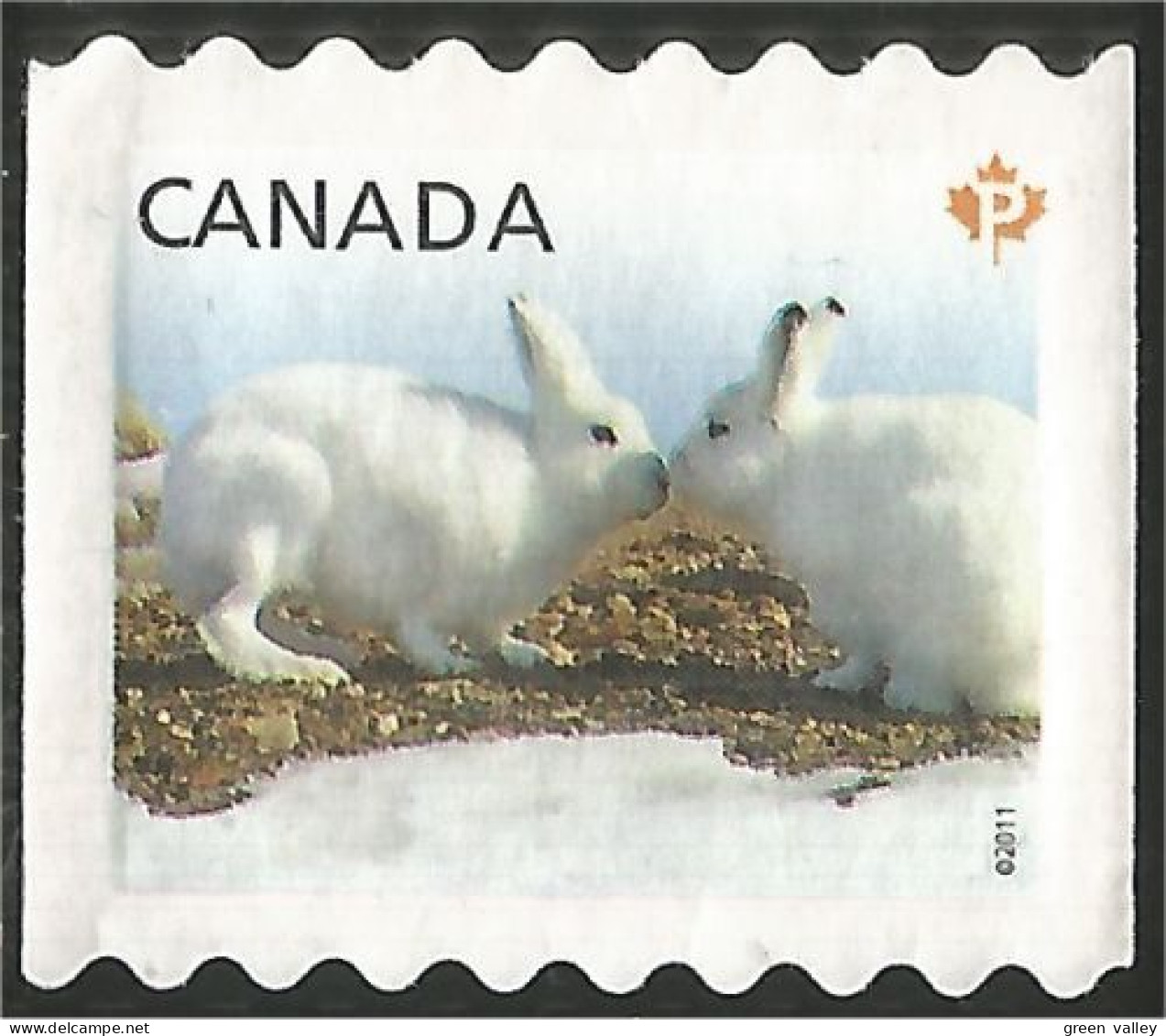 Canada Lapin Rabbit Hare Hase Conejo Coniglio Kaninchen Mint No Gum (24) - Used Stamps