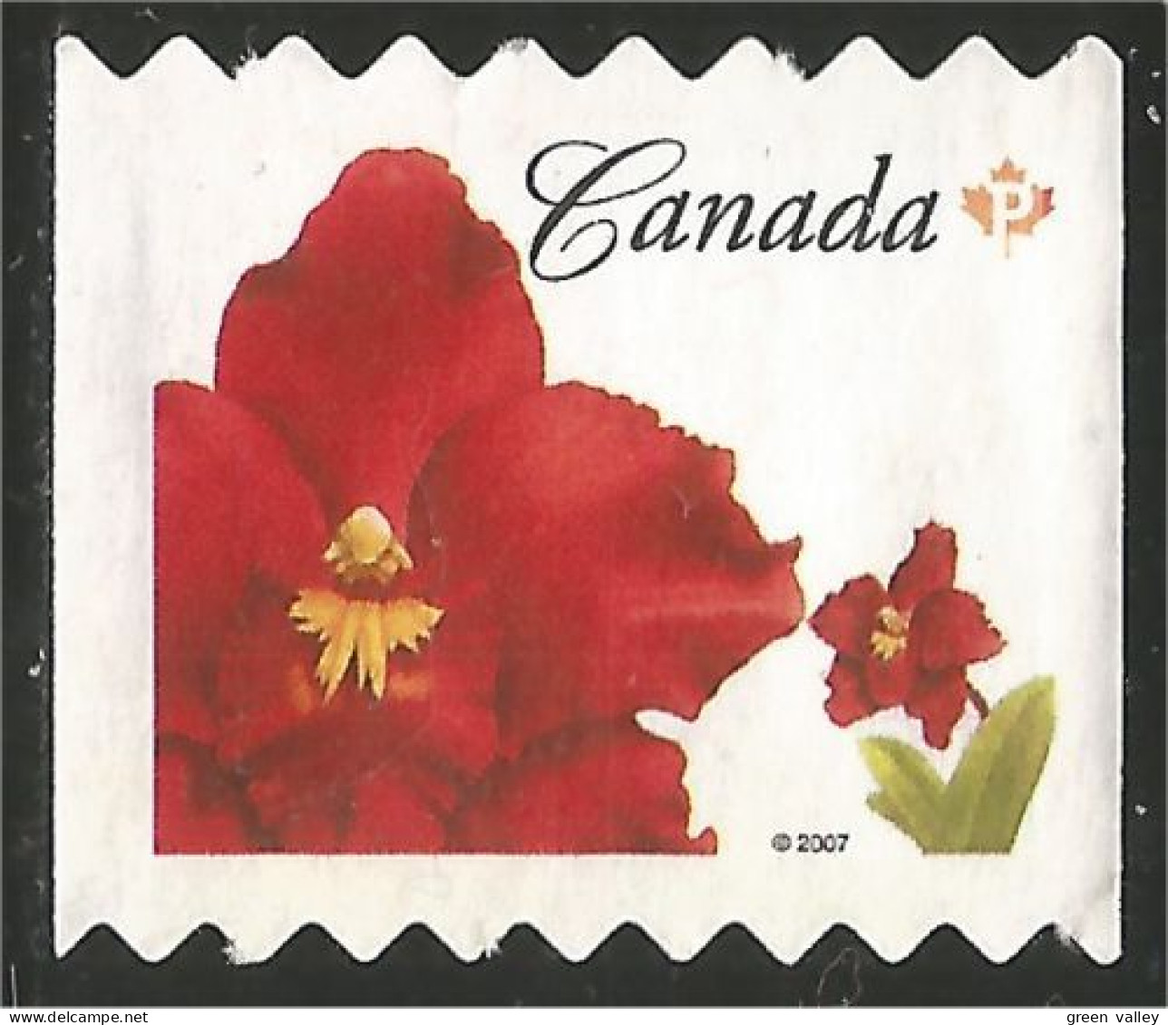 Canada Island Red Rouge Mint No Gum (17) - Gebruikt