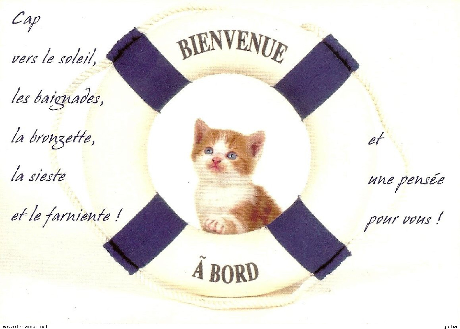 *CPM -  Chaton Dans Une Bouée - Bienvenue à Bord - Humor