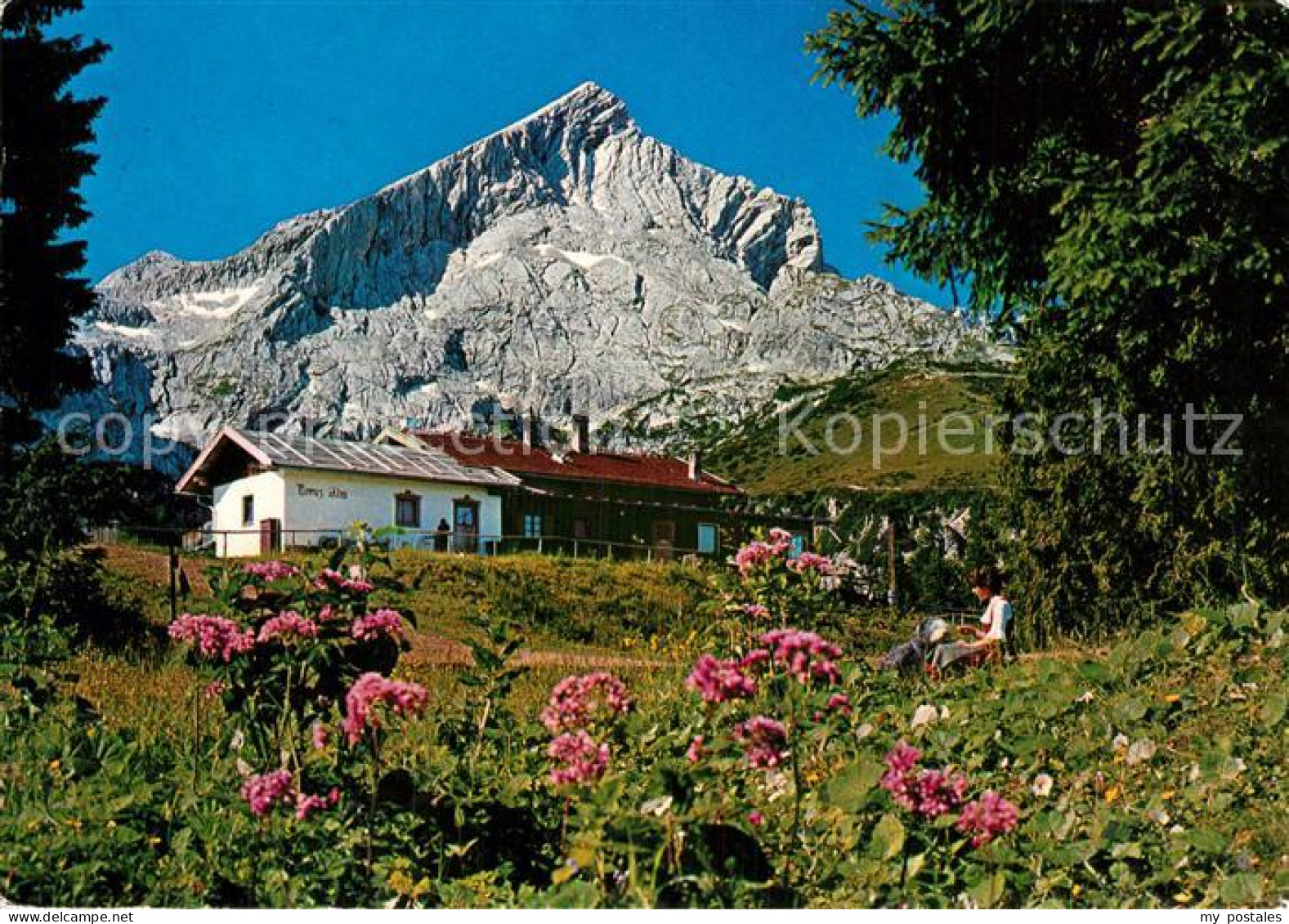 72985171 Kreuzeck Kreuzalm Mit Alpspitze  Kreuzeck - Garmisch-Partenkirchen
