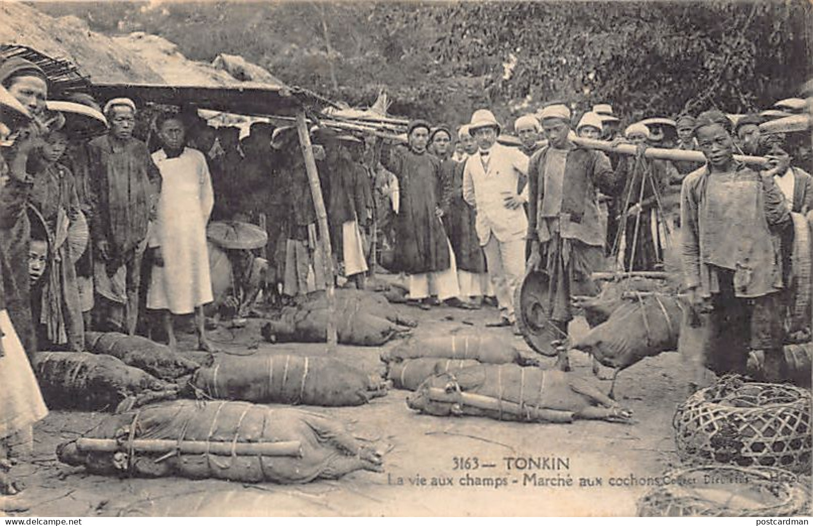 Vietnam - TONKIN - Marché Aux Cochons - Ed. P. Dieulefils 3163 - Viêt-Nam