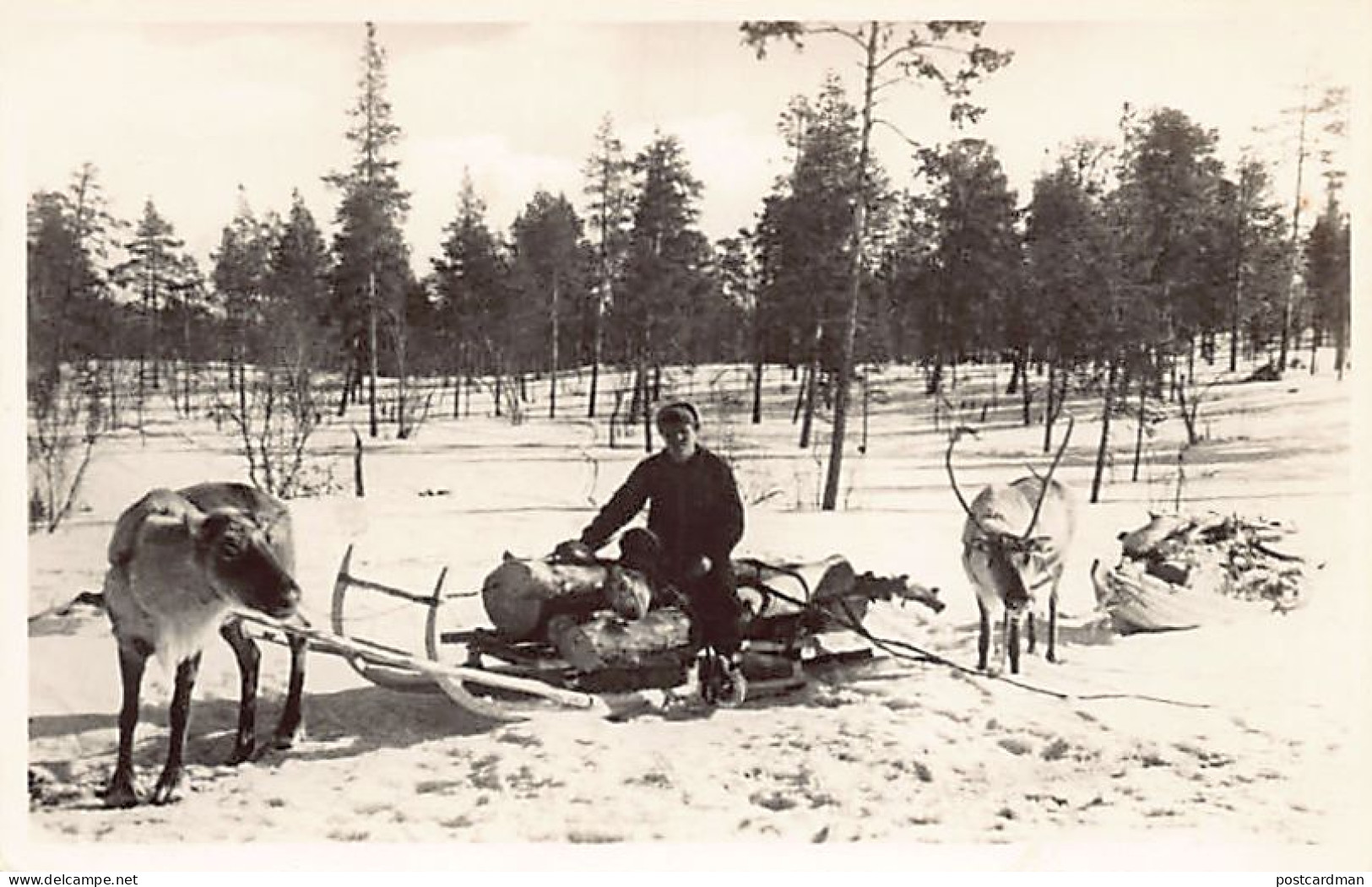 Finland - Kolttamies Puun Haussa - Skolt-lapp Transporting Wood - Publ. Rovaniem - Finnland