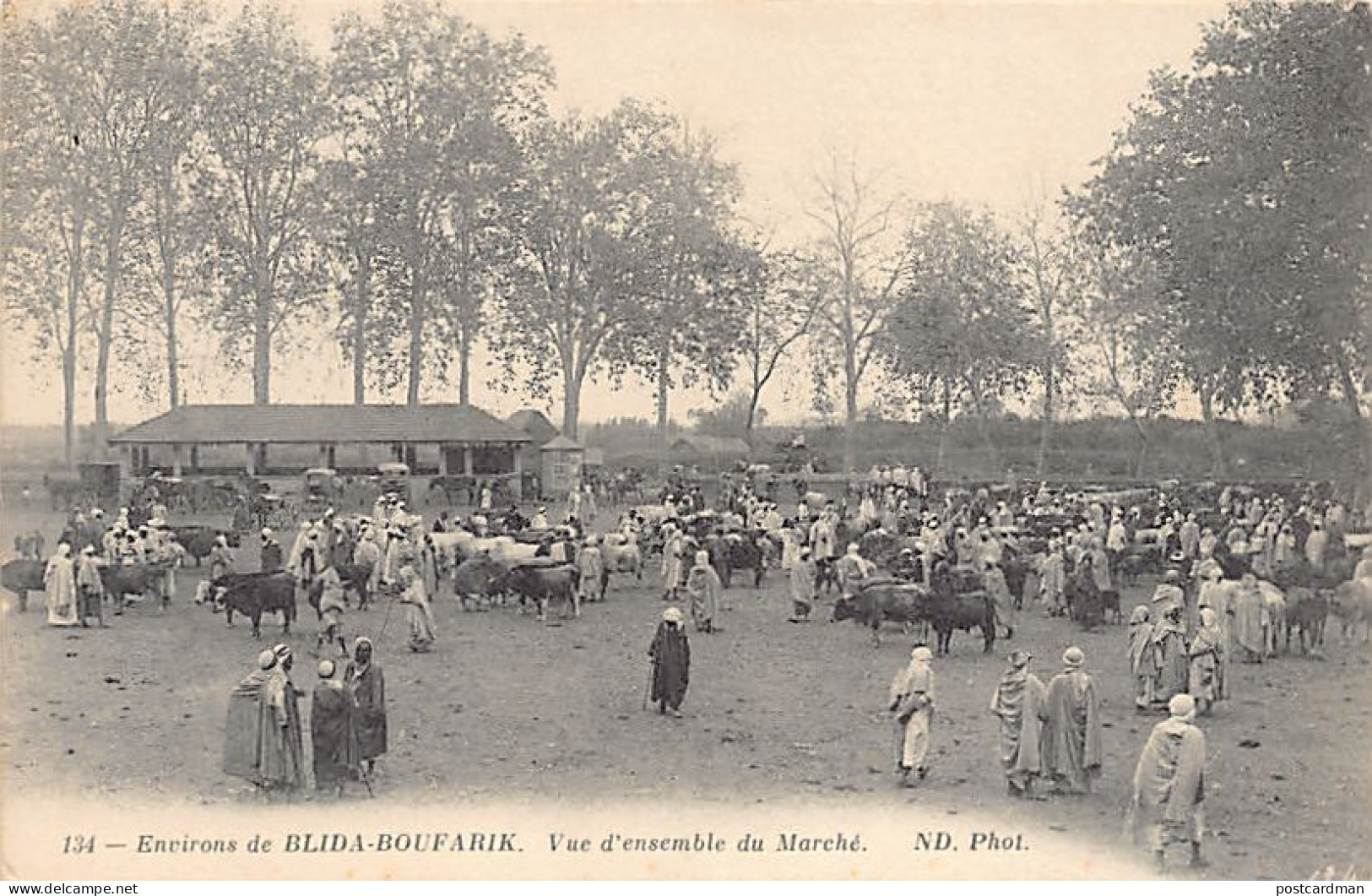 ENVIRONS DE BLIDA-BOUFARIK - Vue D'ensemble Du Marché - Other & Unclassified