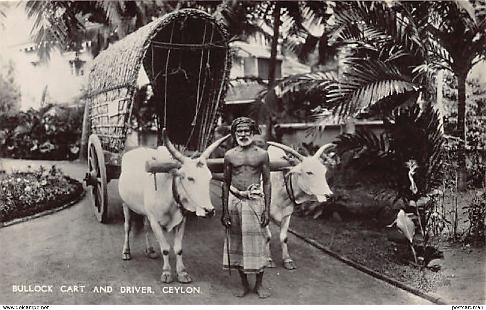 SRI LANKA - Bullock Cart And Driver - Publ. Plâté Ltd. 68 - Sri Lanka (Ceilán)