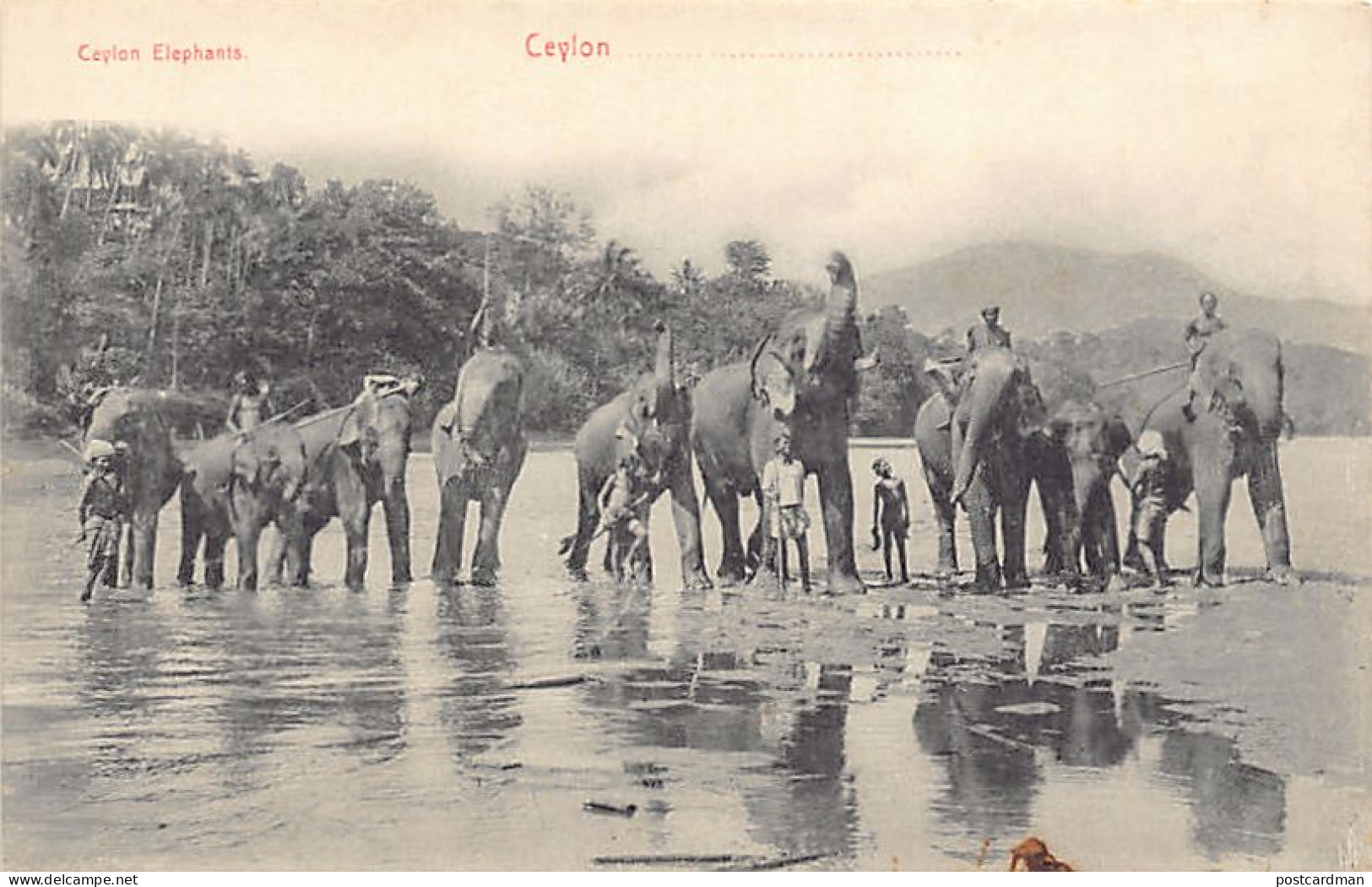 SRI LANKA - Ceylon Elephants - Publ. Plâté & Co. 58 - Sri Lanka (Ceylon)