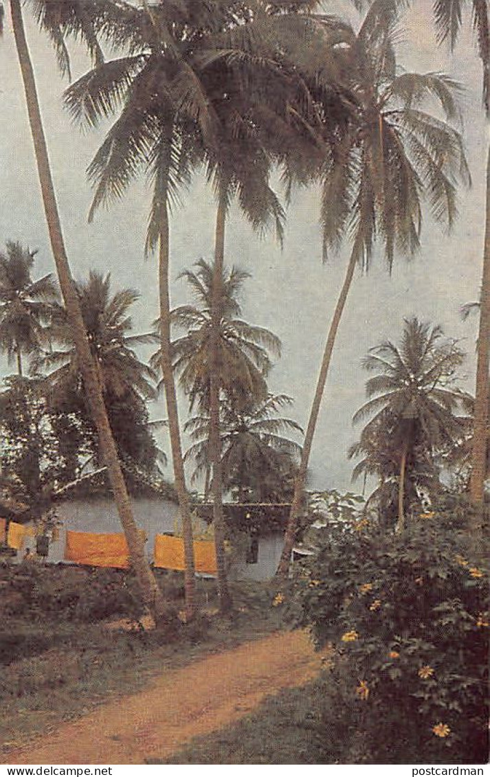 Sri Lanka - Country Landscape In The Vicinity Of Kandy - Publ. CX (Moscow, Year 1967)  - Sri Lanka (Ceilán)