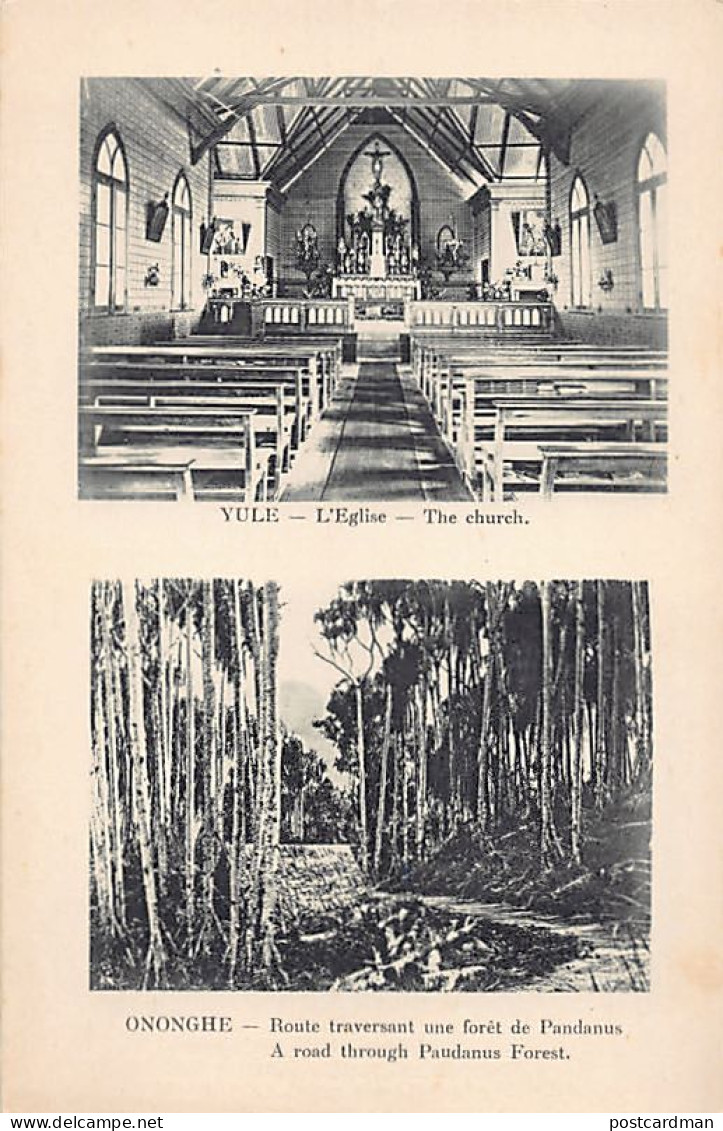 Papua New Guinea - Yule Island Church - Road Through Pandanus Forest In Ononge - Papouasie-Nouvelle-Guinée