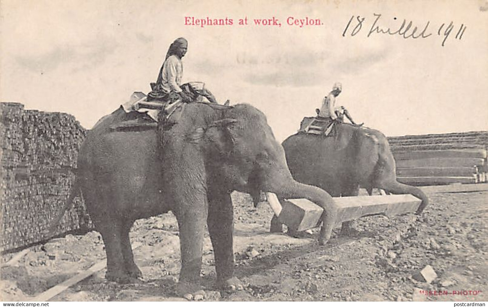 Sril Lanka - Elephants At Work - Publ. Skeen-Photo  - Sri Lanka (Ceylon)