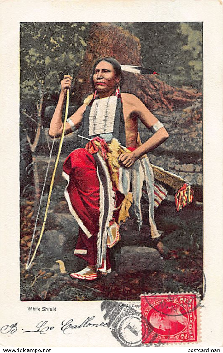 Usa - Native Americans - White Shield - Indianer