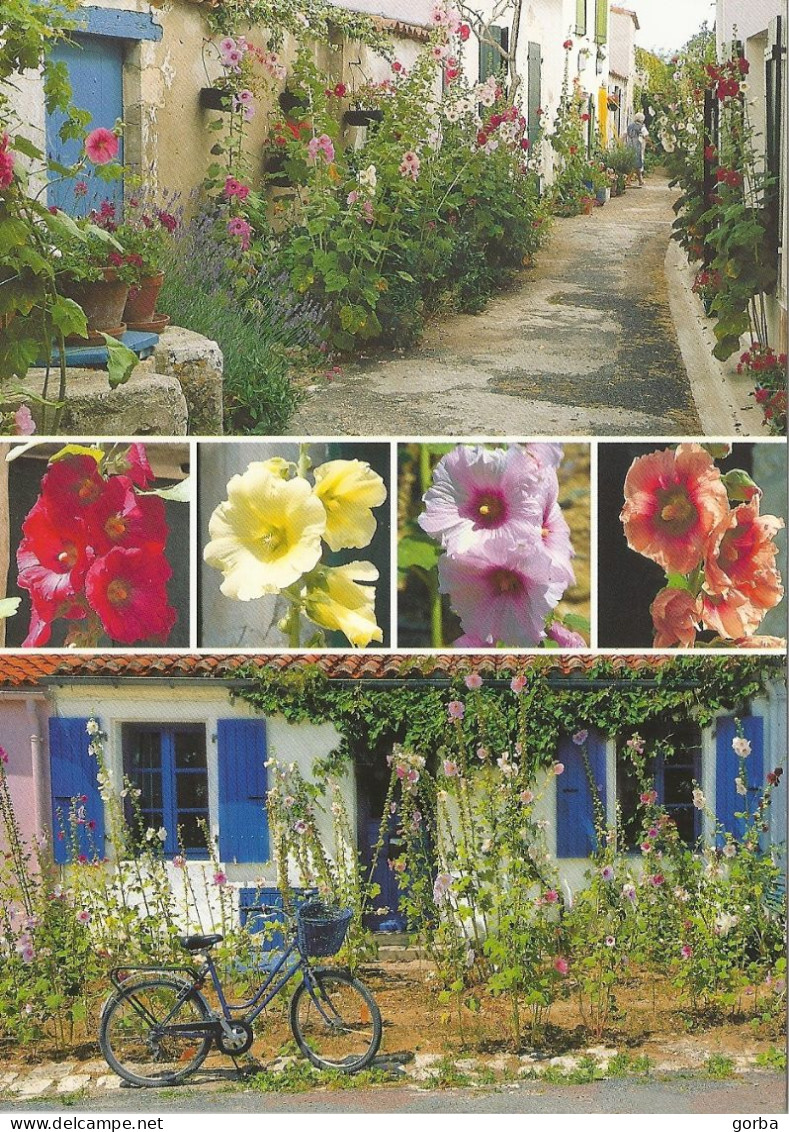 *CPM - Belle Ruelle Et Maison Fleuries  De Roses Trémières - Altri & Non Classificati