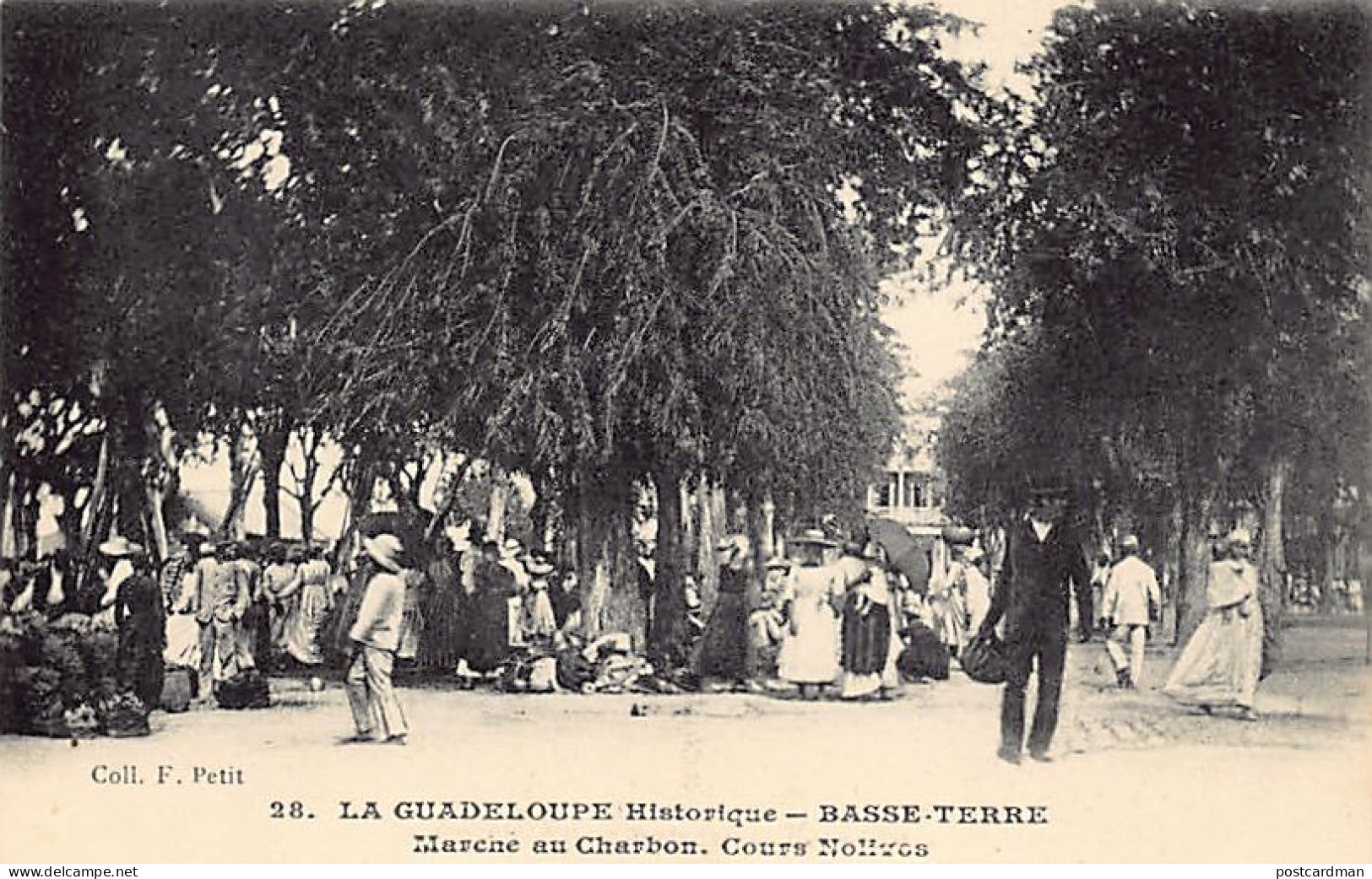 La Guadeloupe Historique - BASSE-TERRE - Marché Au Charbon, Cours Nolivos - Ed. F. Petit 28 - Basse Terre