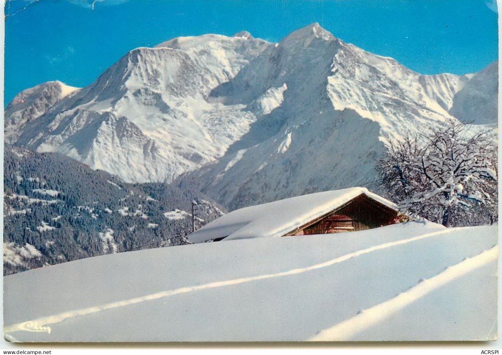 SAINT GERVAIS LE BETTEX  Panorama Sur Le Mont Blanc TT 1401 - Saint-Gervais-les-Bains
