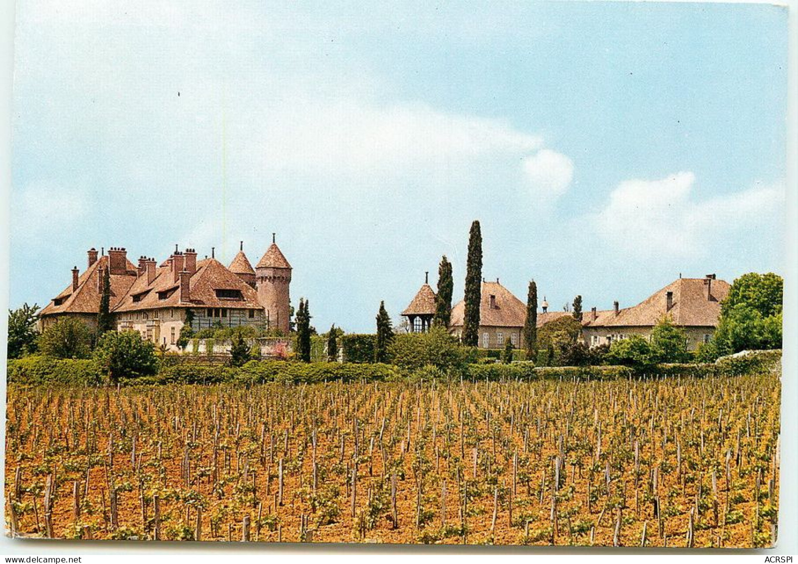 THONON Le Chateau De Ripaille   TT 1401 - Thonon-les-Bains