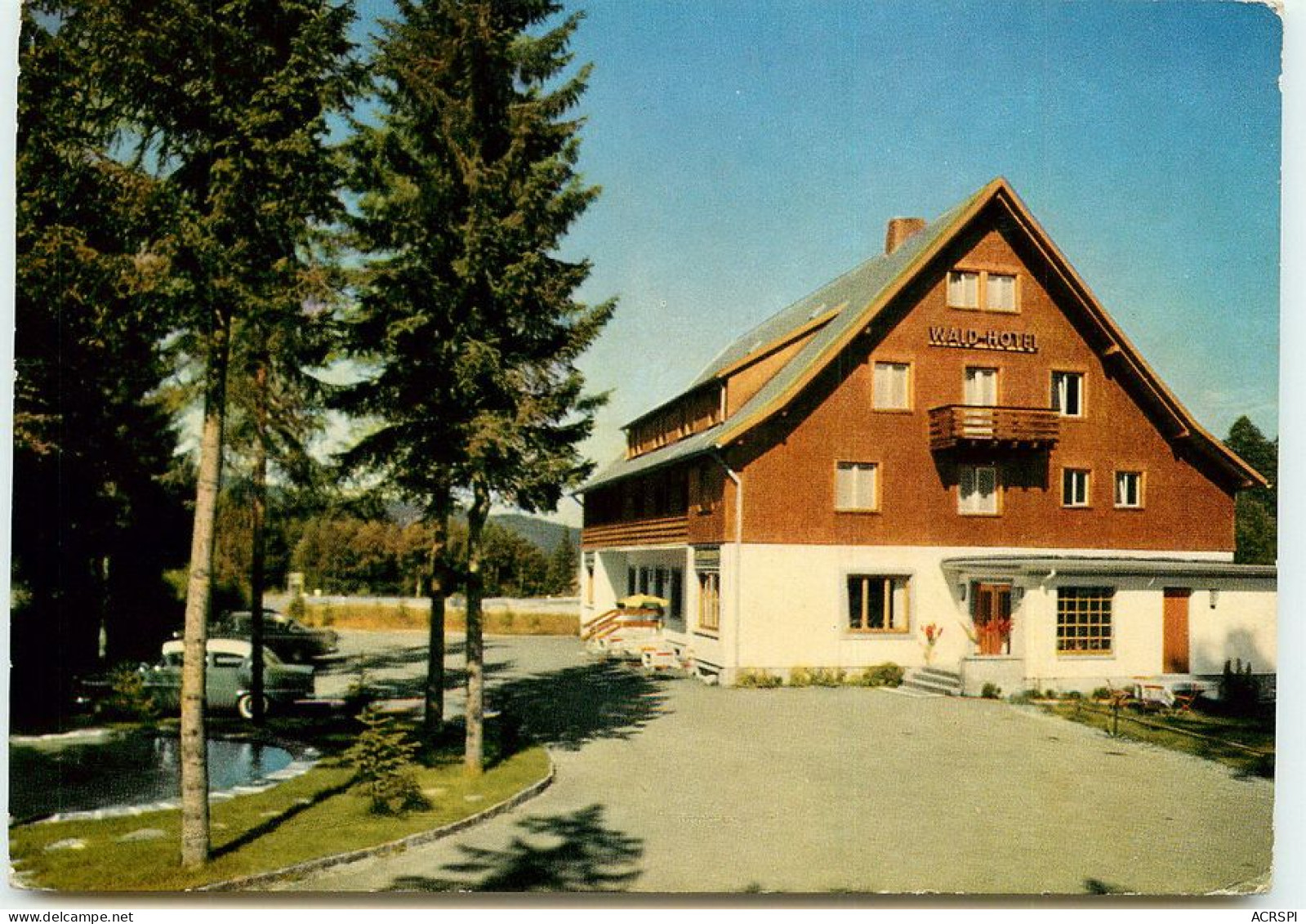 ALLEMAGNE FELBERG  WALDHOTEL TT 1439 - Feldberg