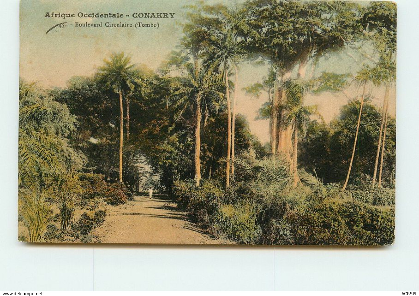 GUINEE   CONAKRY   Boulevard Circulaire  TT 1430 - French Guinea