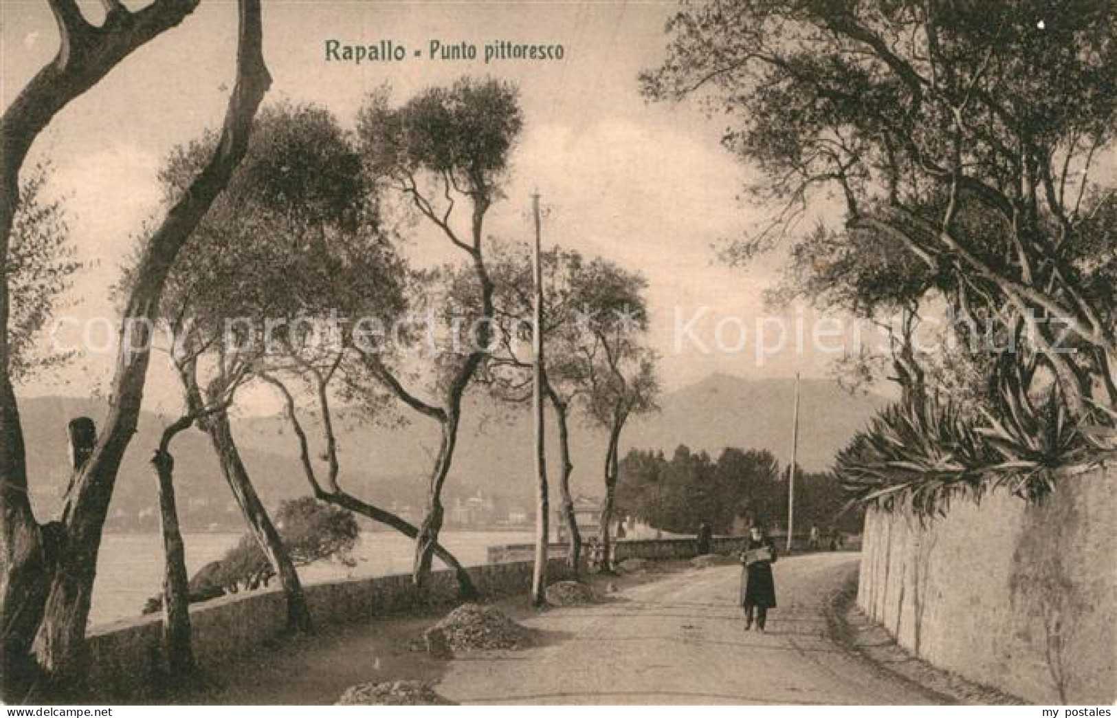 72984732 Rapallo Punto Pittoresco Rapallo - Otros & Sin Clasificación