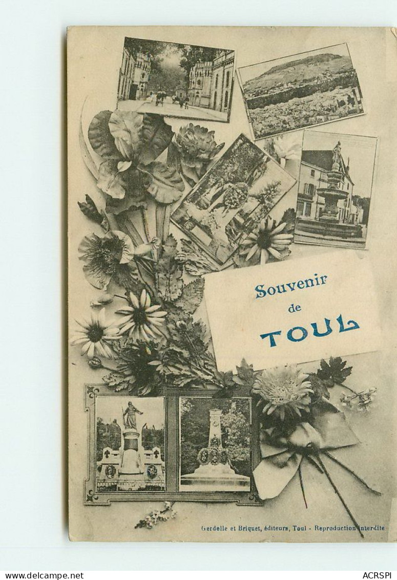 TOUL  Souvenir  TT 1479 - Toul