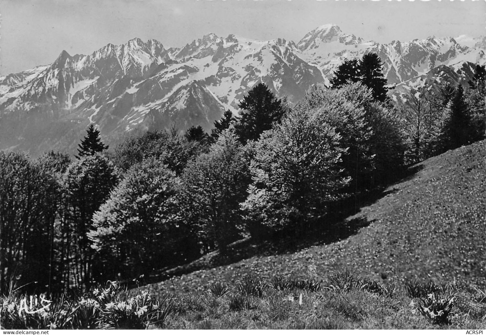 31 Bagnères-de-Luchon  Le Plateau De Superbagnières (Scan R/V) N°   23   \TT1499Bis - Luchon