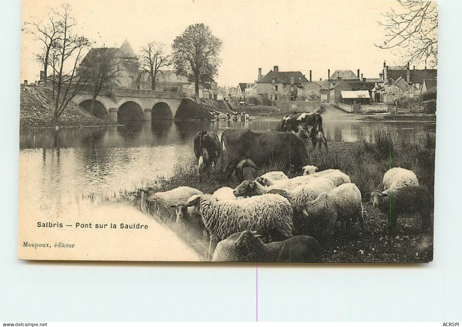 SALBRIS Le Pont Sur La Sauldre  TT 1481 - Salbris