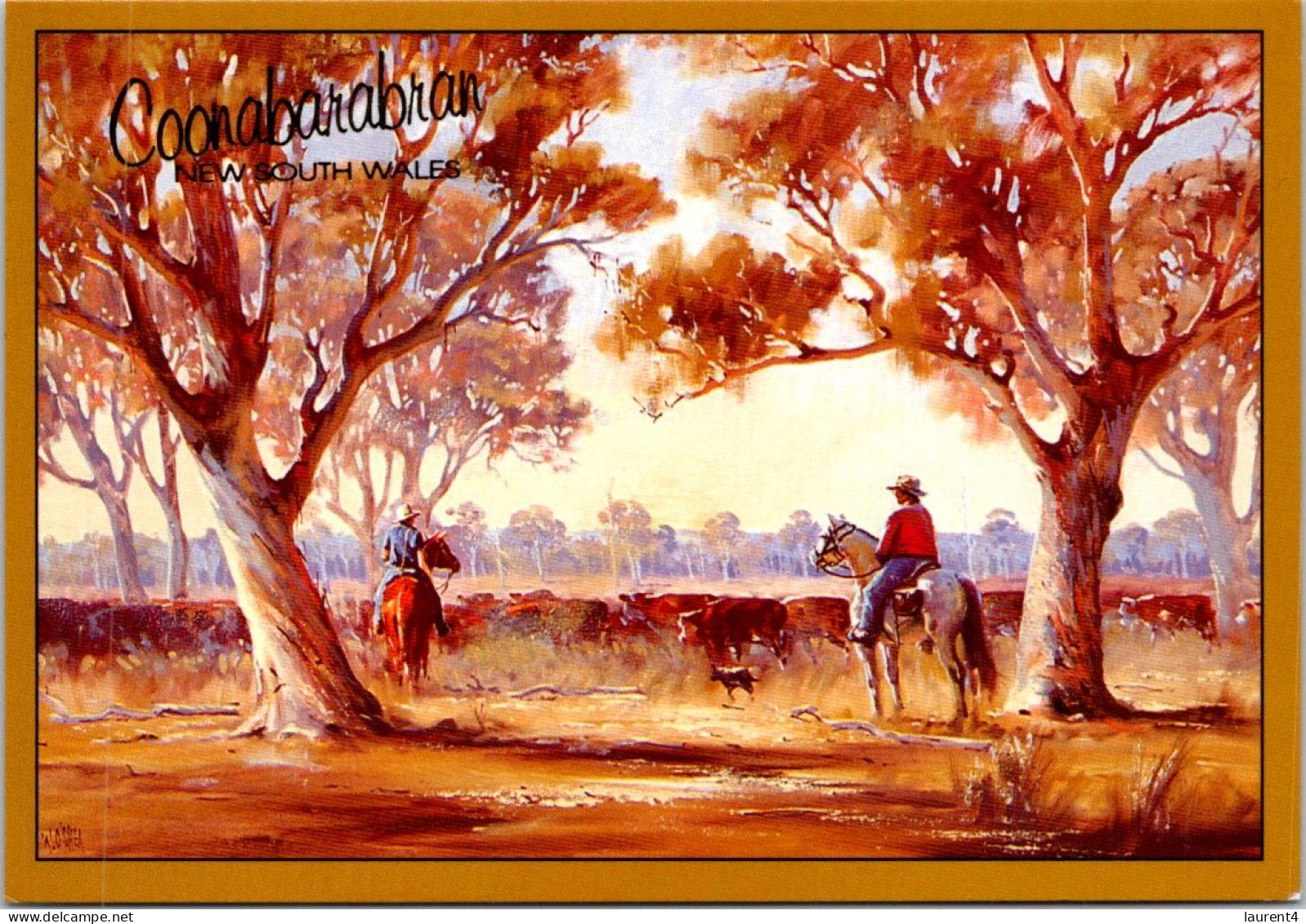 11-5-2024 (4 Z 41) Australia - NSW - Farming Scenry In Cooonabarabran (posted With Koala Stamp) - Elevage