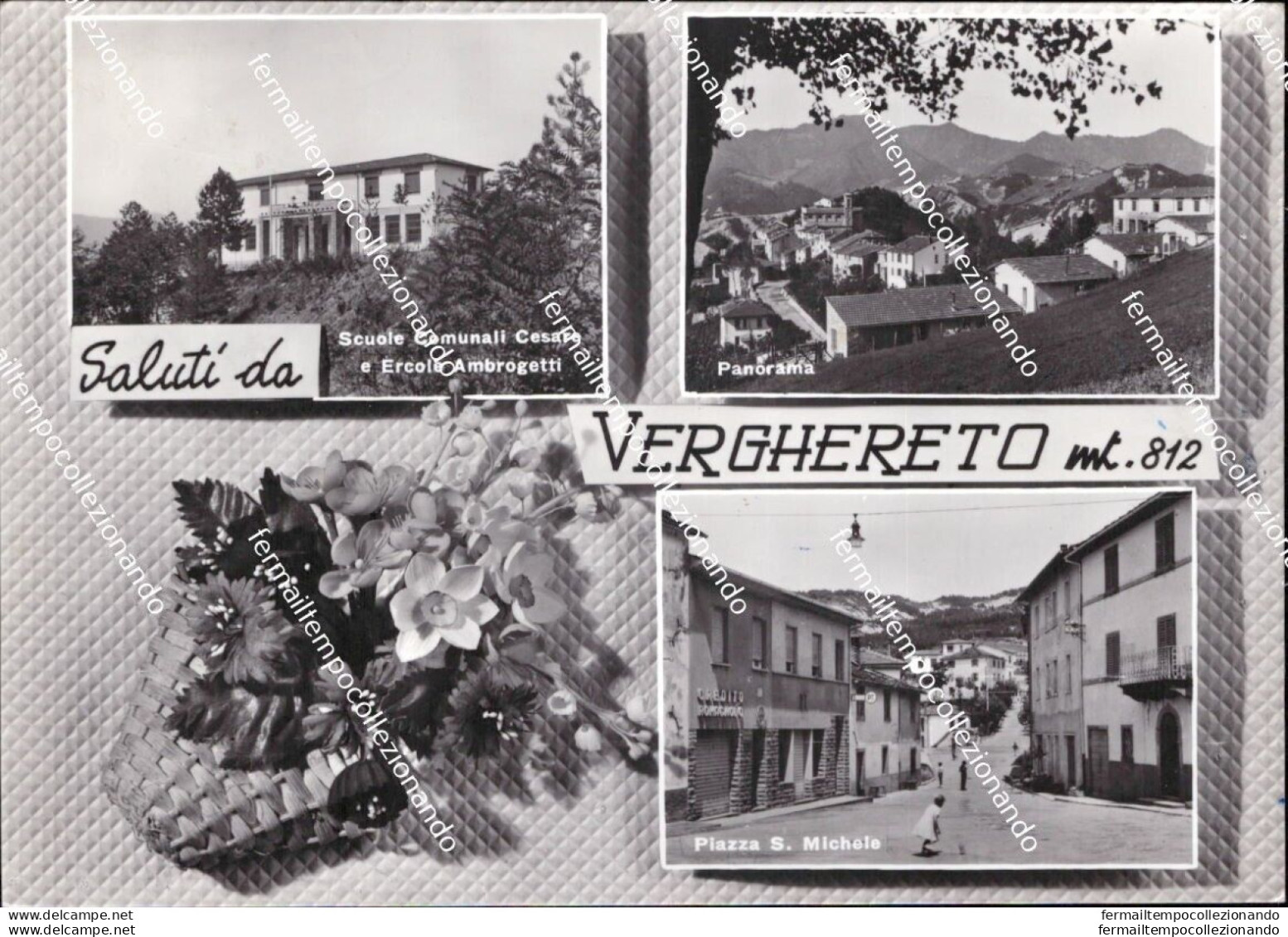 Bc702  Cartolina Saluti Da Verghereto Provincia Di Forli' Emilia Romagna - Forli