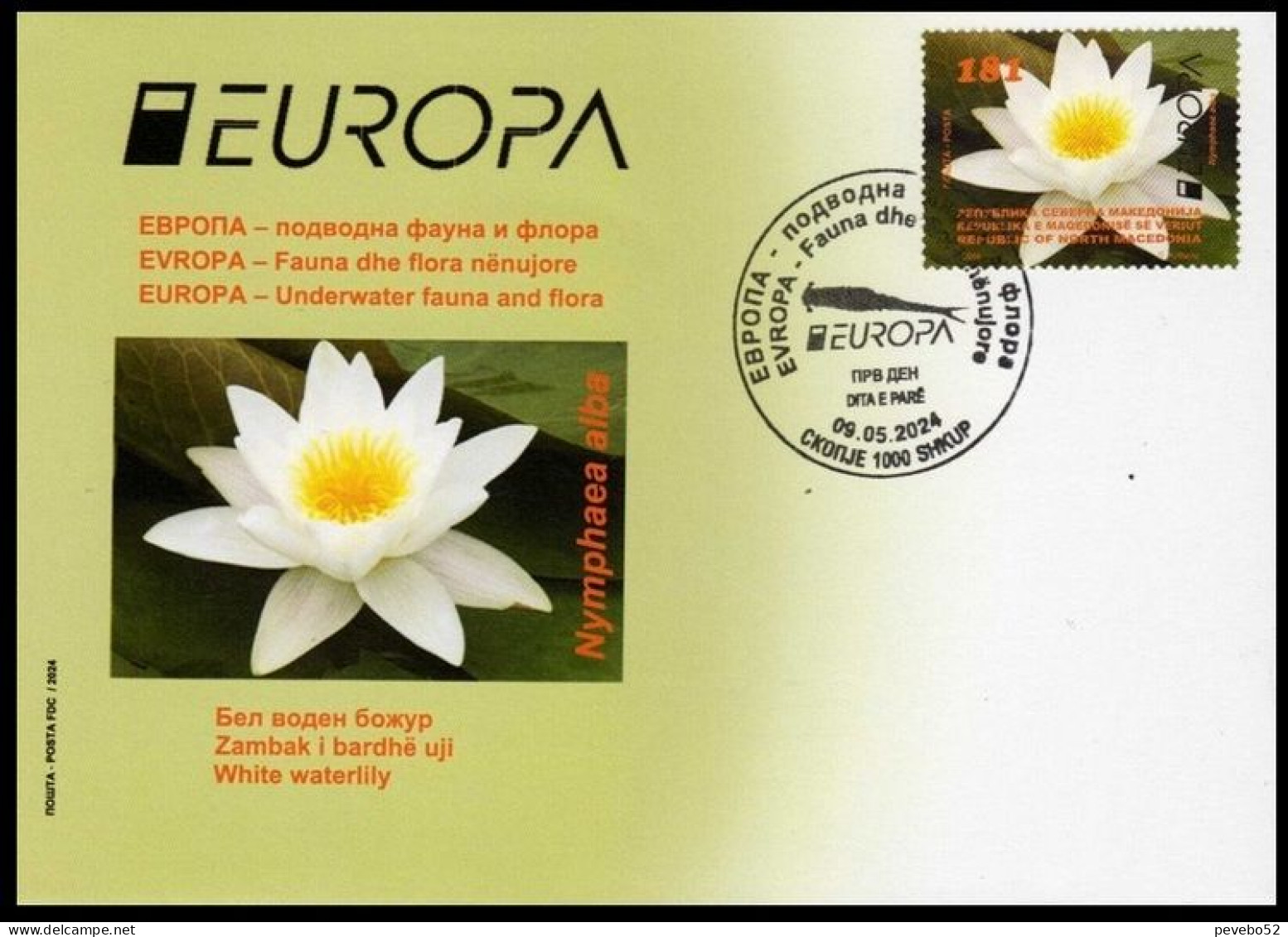 NORTH MACEDONIA 2024 EUROPA - UNDERWATER FLORA FDC - North Macedonia