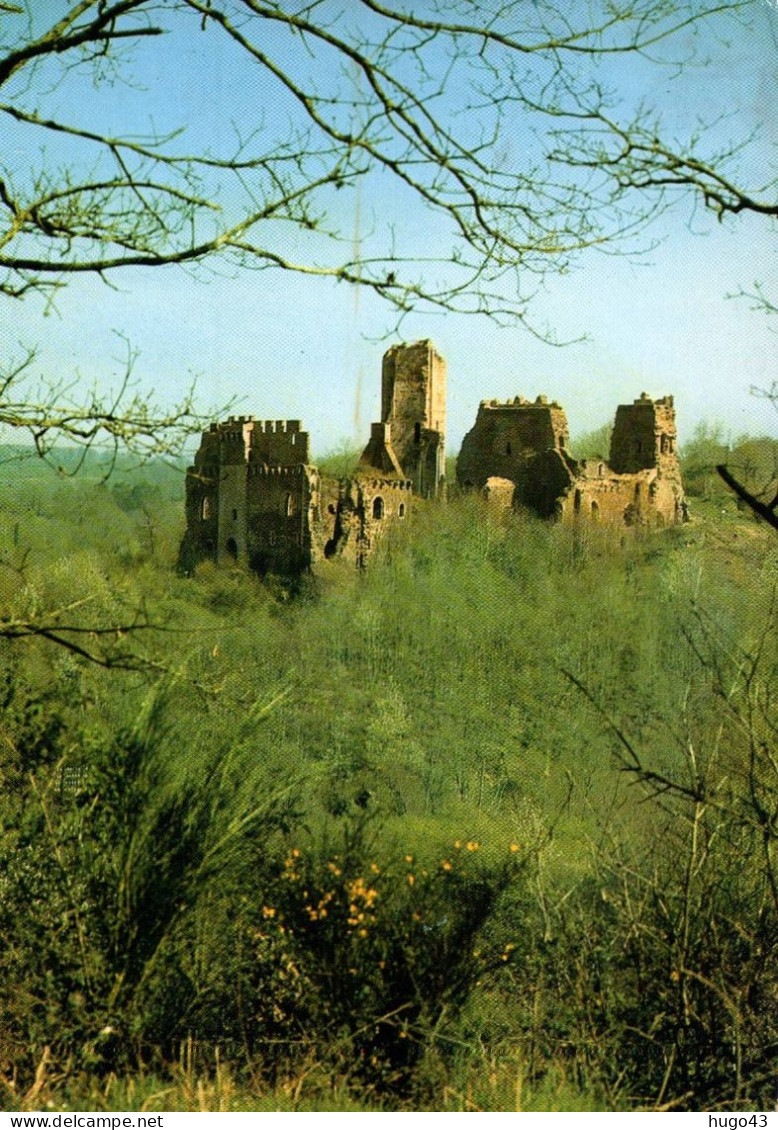 (RECTO / VERSO) CHALUSSET EN 1980 - RUINES DU CHATEAU - CPSM GF VOYAGEE - Sonstige & Ohne Zuordnung