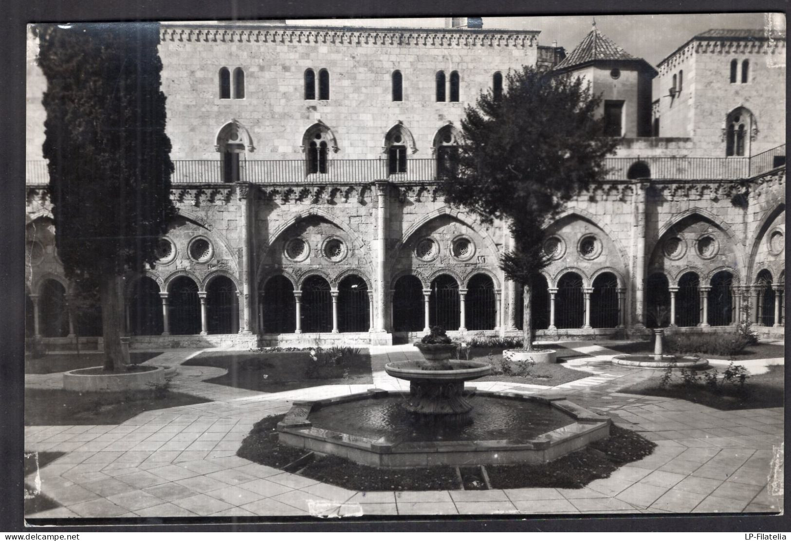 España - Tarragona - Catedral - Jardin Del Claustro - Tarragona