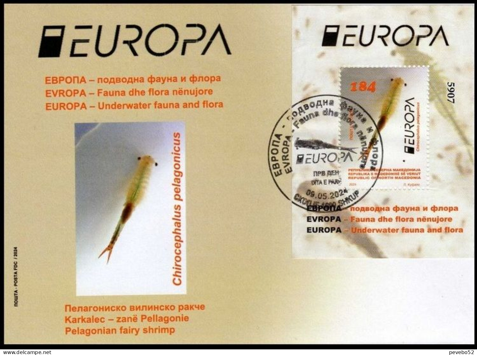 NORTH MACEDONIA 2024 EUROPA - UNDERWATER FAUNA MS FDC - Noord-Macedonië