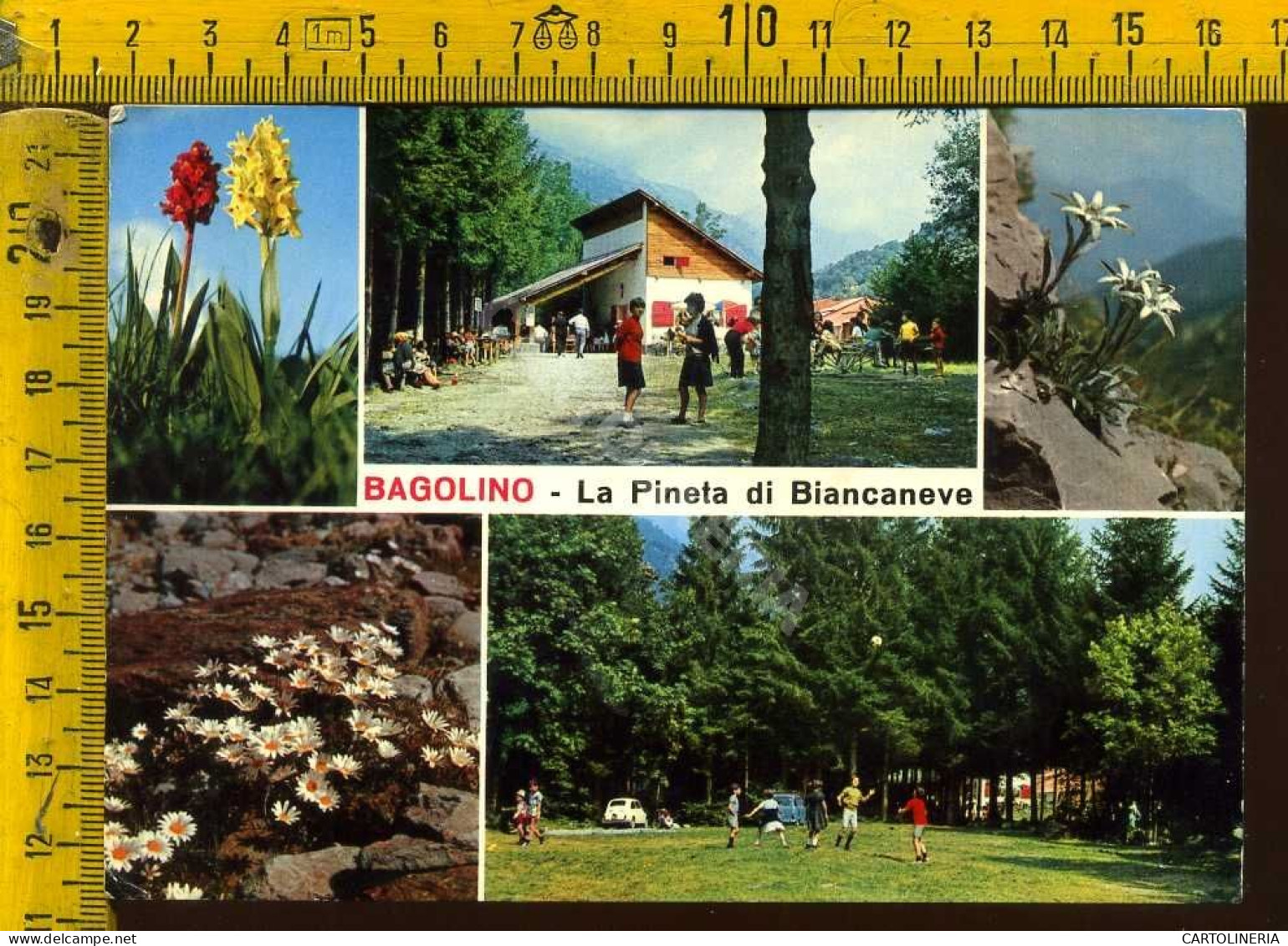 Brescia Bagolino - La Pineta Di Biancaneve  - Brescia