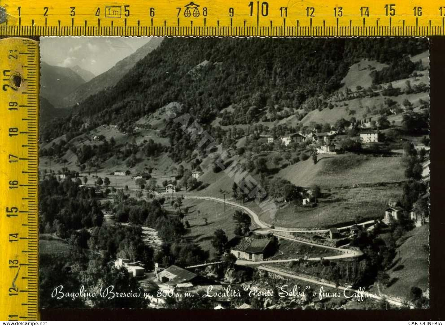 Brescia Bagolino Località Ponte Selva E Fiume Caffaro  - Brescia