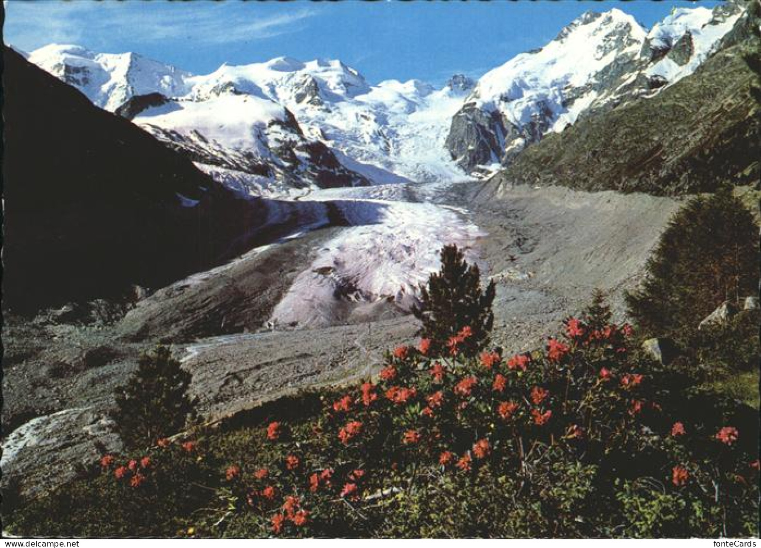 11463928 Bernina Mit Morteratschgletscher Bernina - Other & Unclassified