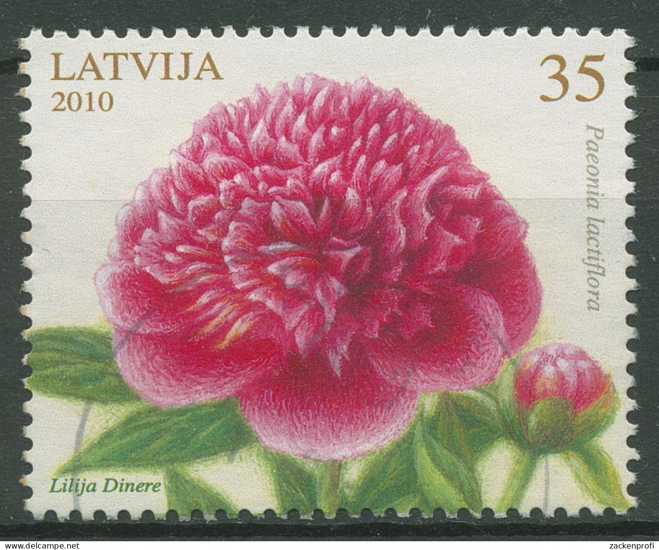 Lettland 2010 Pflanzen Blumen Pfingstrose 782 Gestempelt - Lettland