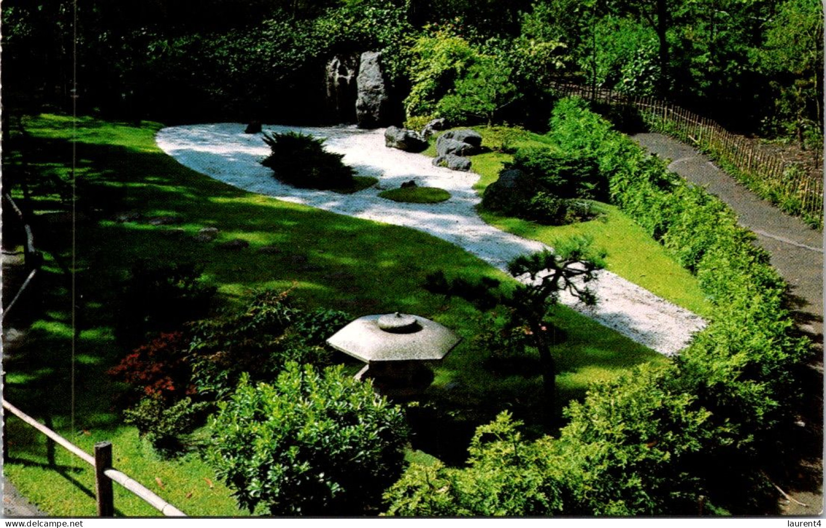 11-5-2024 (4 Z 43) USA - San Francisco - Japanese Tea Garden (2 Postcards) - Árboles