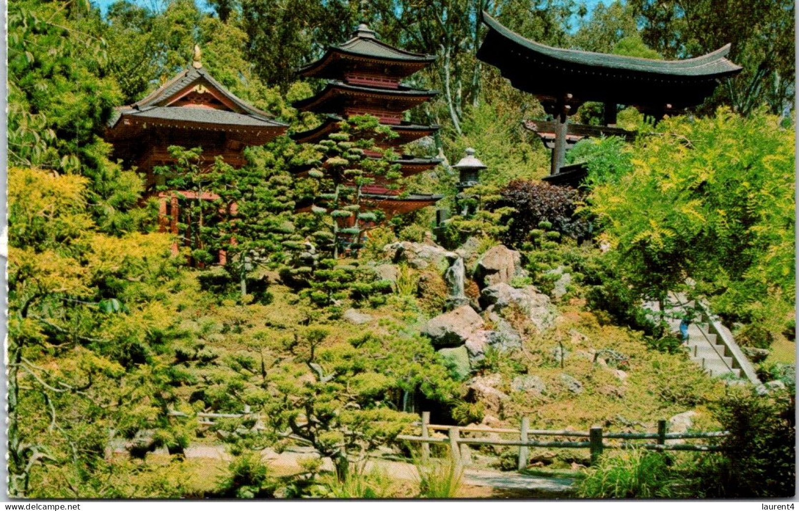 11-5-2024 (4 Z 43) USA - San Francisco - Japanese Tea Garden (2 Postcards) - Trees